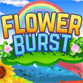 flower-burst