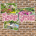 flower-garden