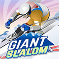 giant-slalom