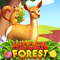 hidden-forest