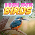 hidden-spots-birds