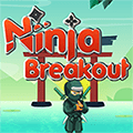 ninja-breakout